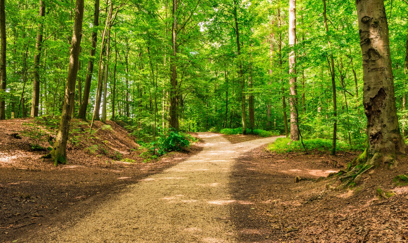 Know Your Rights Before Setting Foot on that Recreational Trail Know Your Rights Before Setting Foot on that Recreational Trail